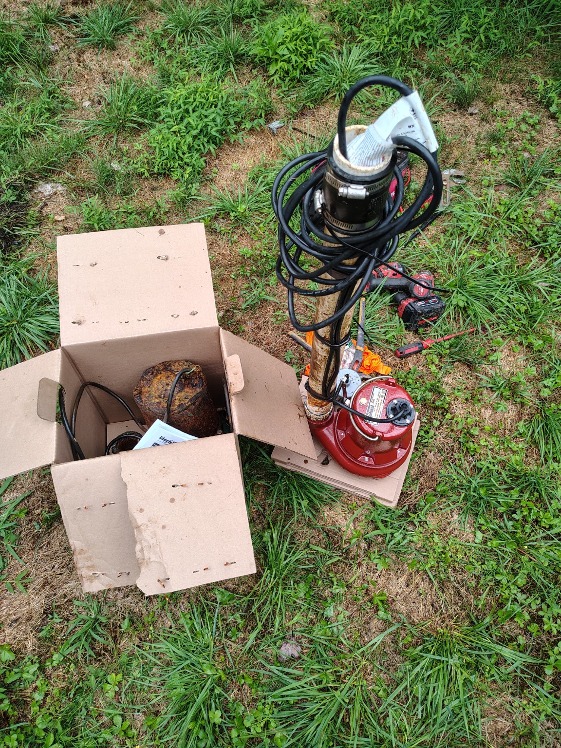 Septic effluent-pump replacement: Before — failed pump removed beside replacement